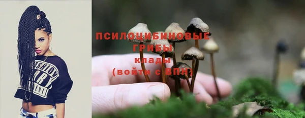 метадон Нея