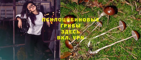 метадон Нея